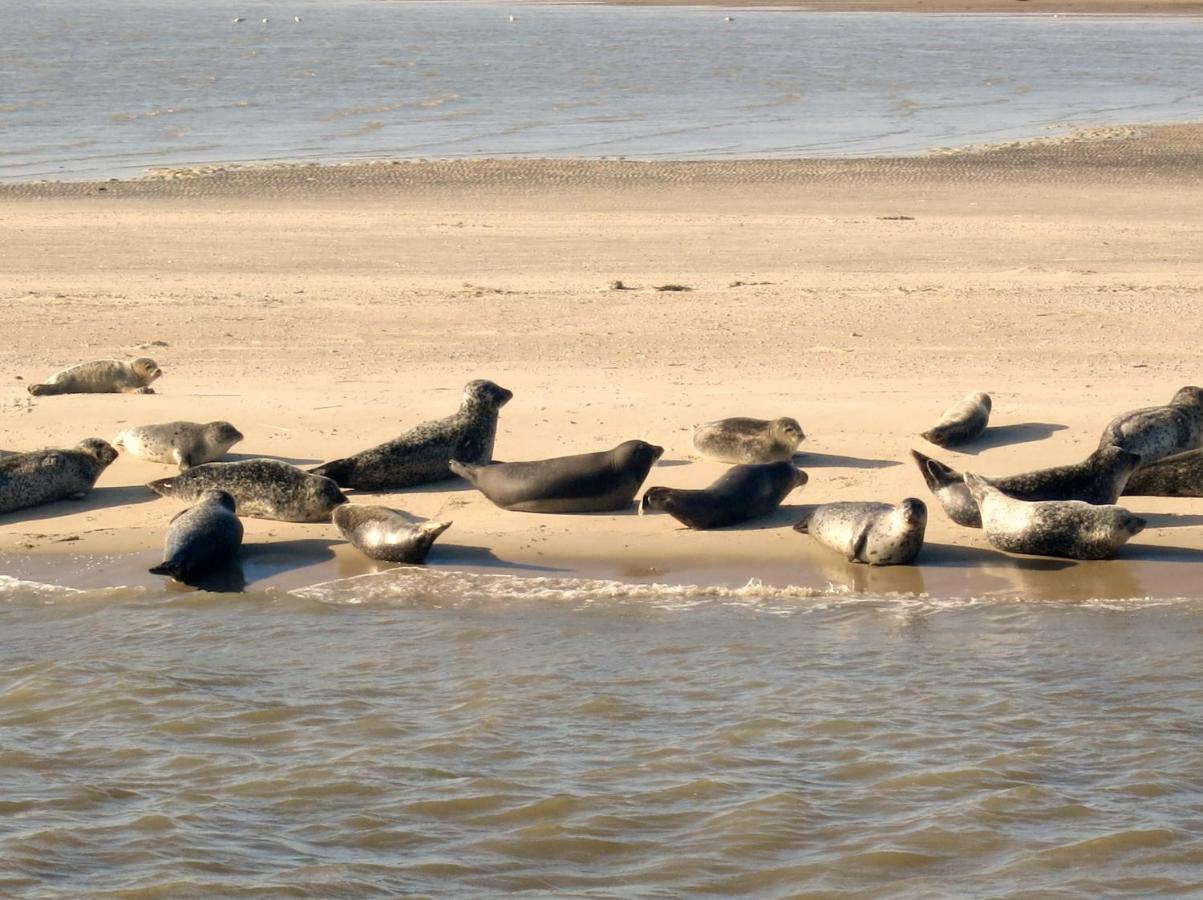 Huus Wattenmeer In Nessmersiel An Der Nordsee Dornum Luaran gambar